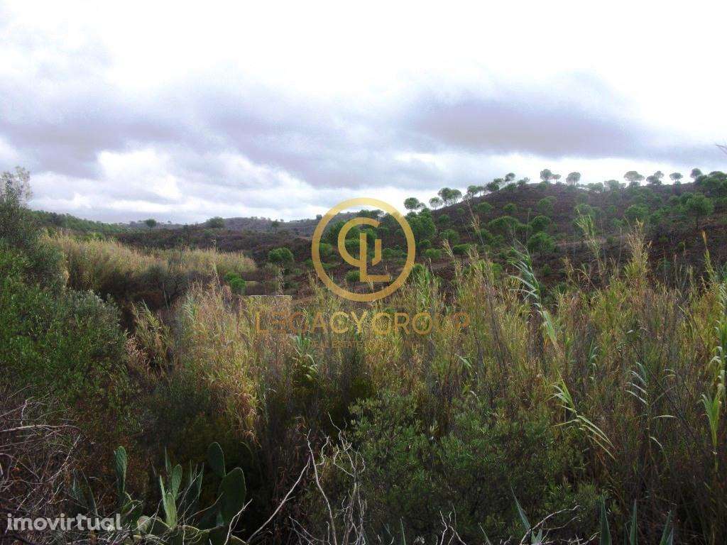 Terreno rústico no Barranco Maria Galega – Alcoutim - Grande imagem: 4/9