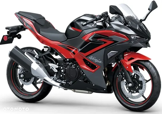Kawasaki Ninja - 3