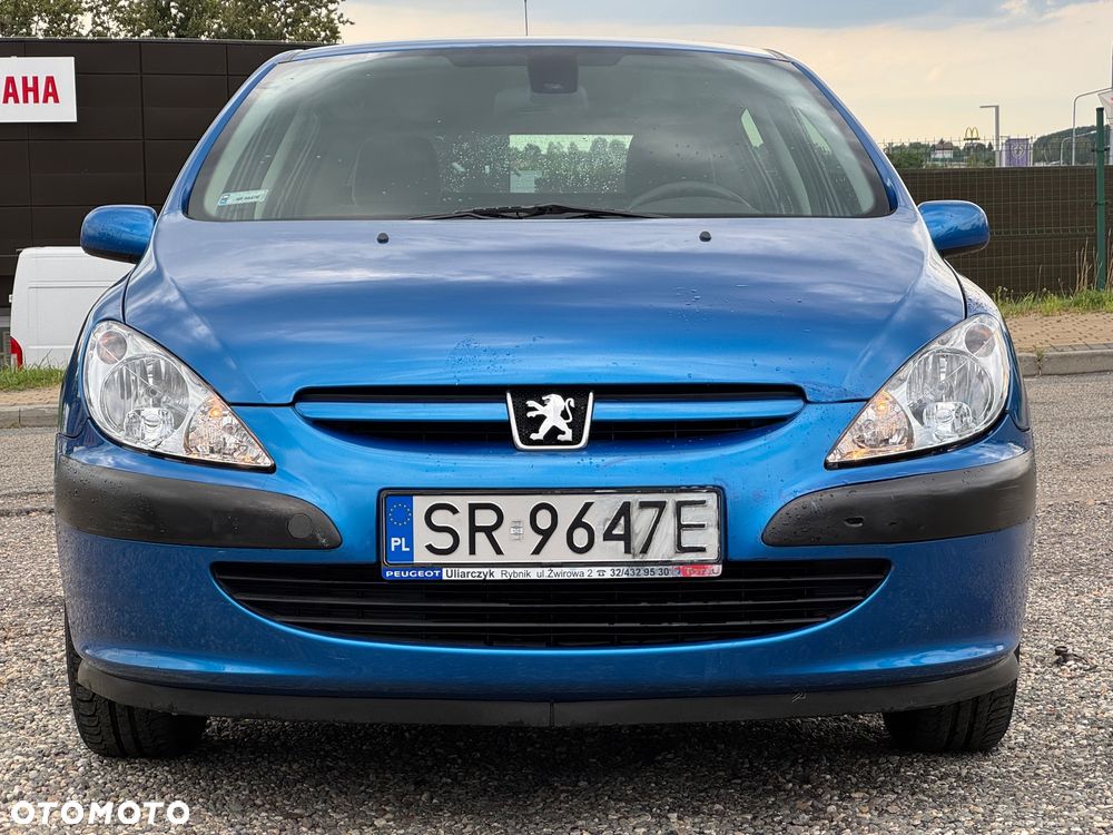 Peugeot 307 1.6 - 15