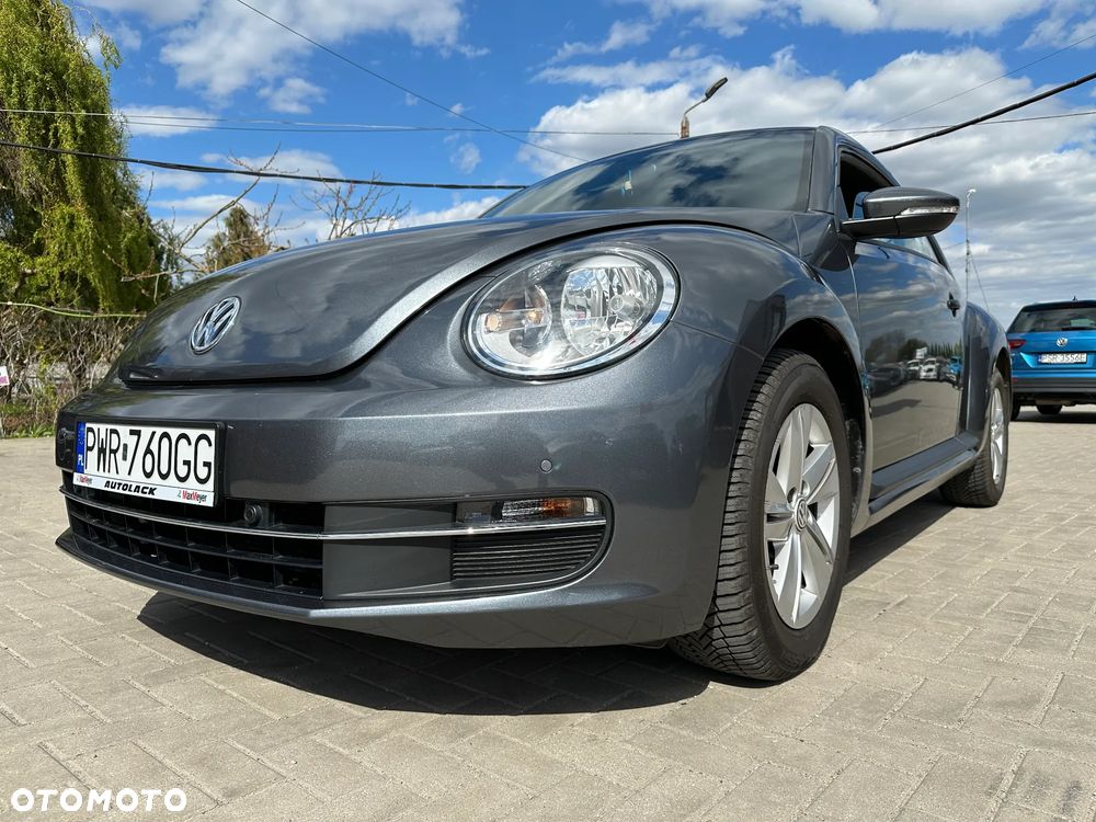 Volkswagen Beetle - 30