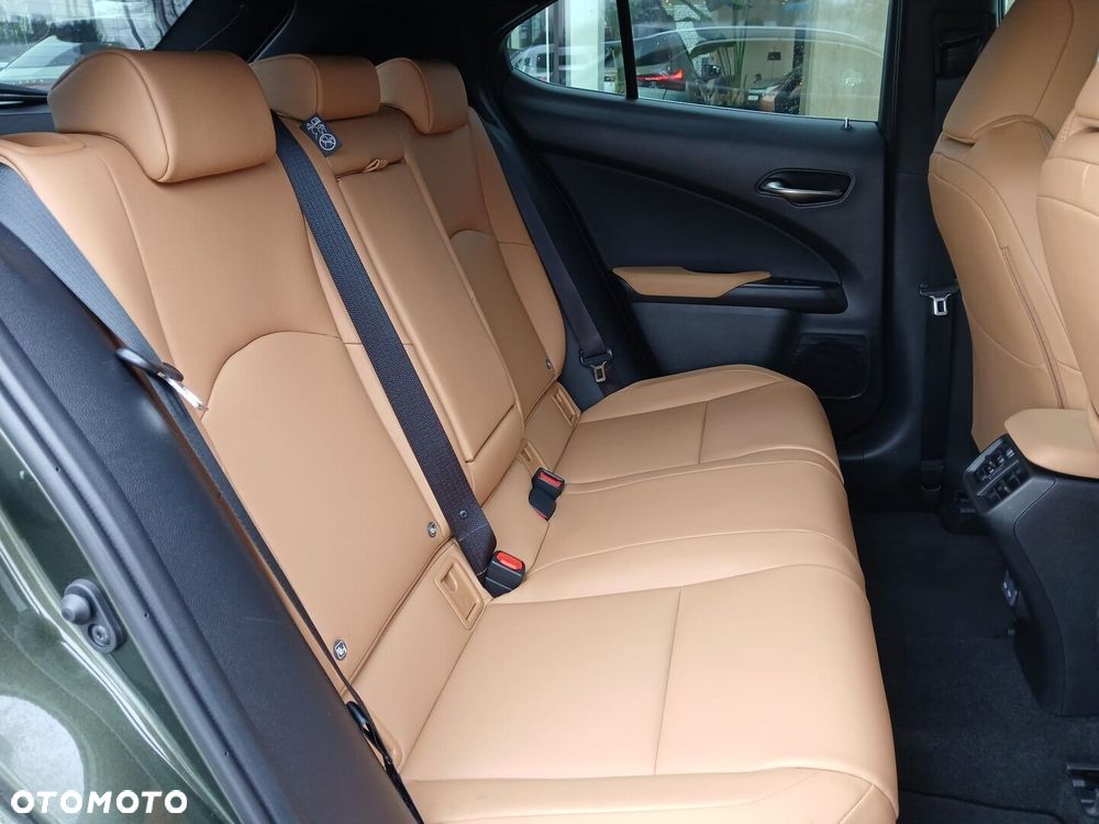 Lexus UX 300h F Sport Design - 31