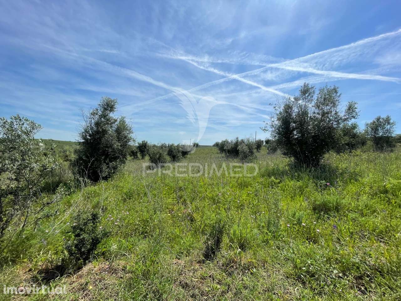 Terreno perto da Vila de Avis - Grande imagem: 3/14