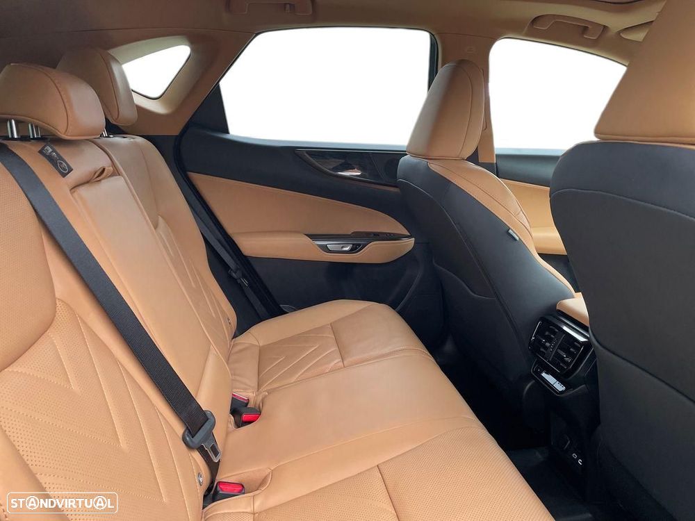 Lexus NX 450h+ - 14