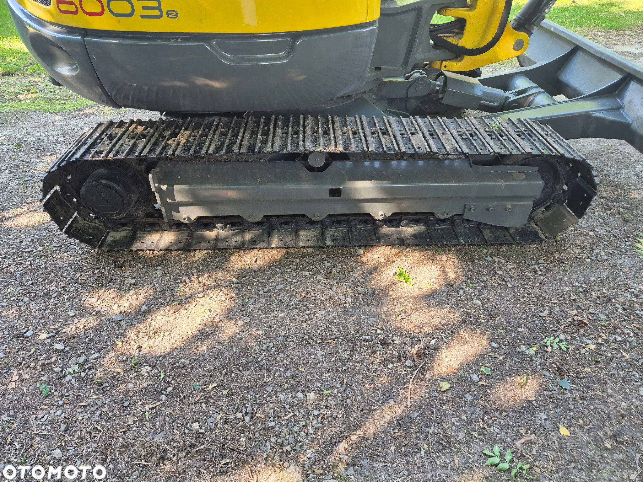 Wacker Neuson 6003 - 8