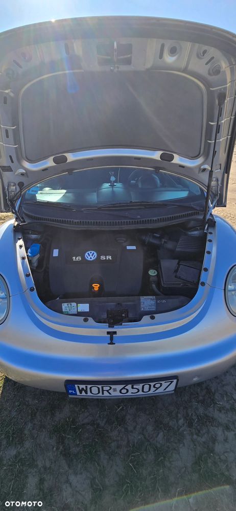 Volkswagen New Beetle - 13