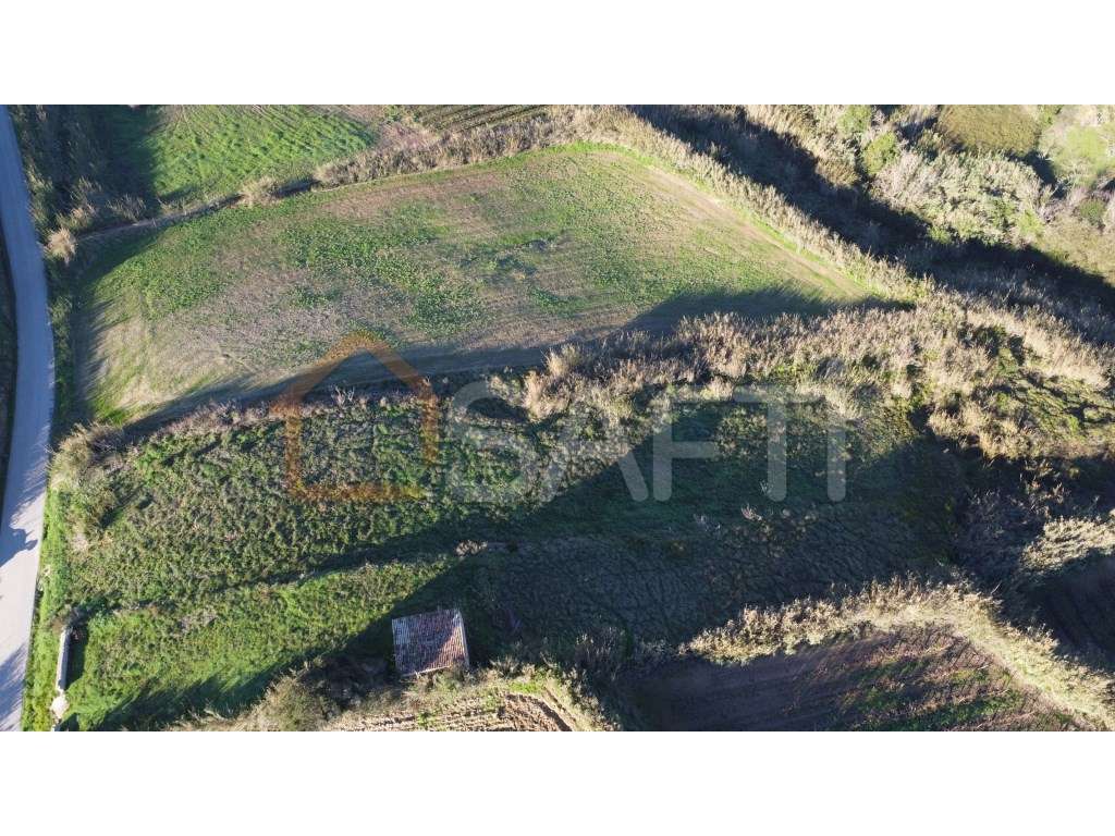 Terreno rústico vista mar - Grande imagem: 3/15