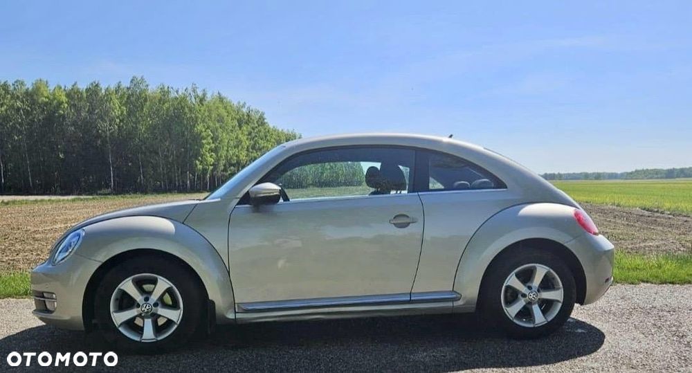 Volkswagen Beetle - 5