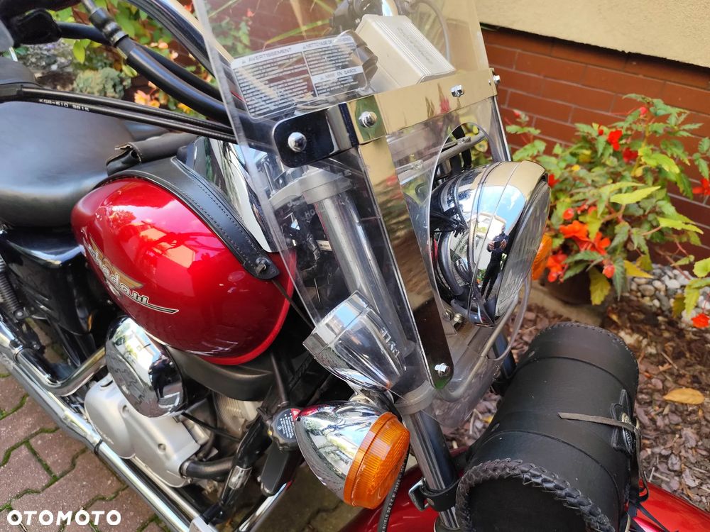 Honda Shadow - 6