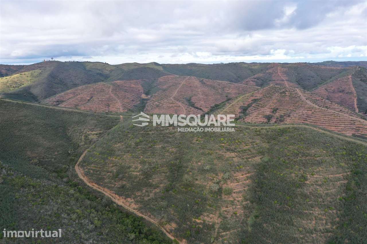 Terreno Rústico  Venda em Santana da Serra,Ourique - Grande imagem: 2/12