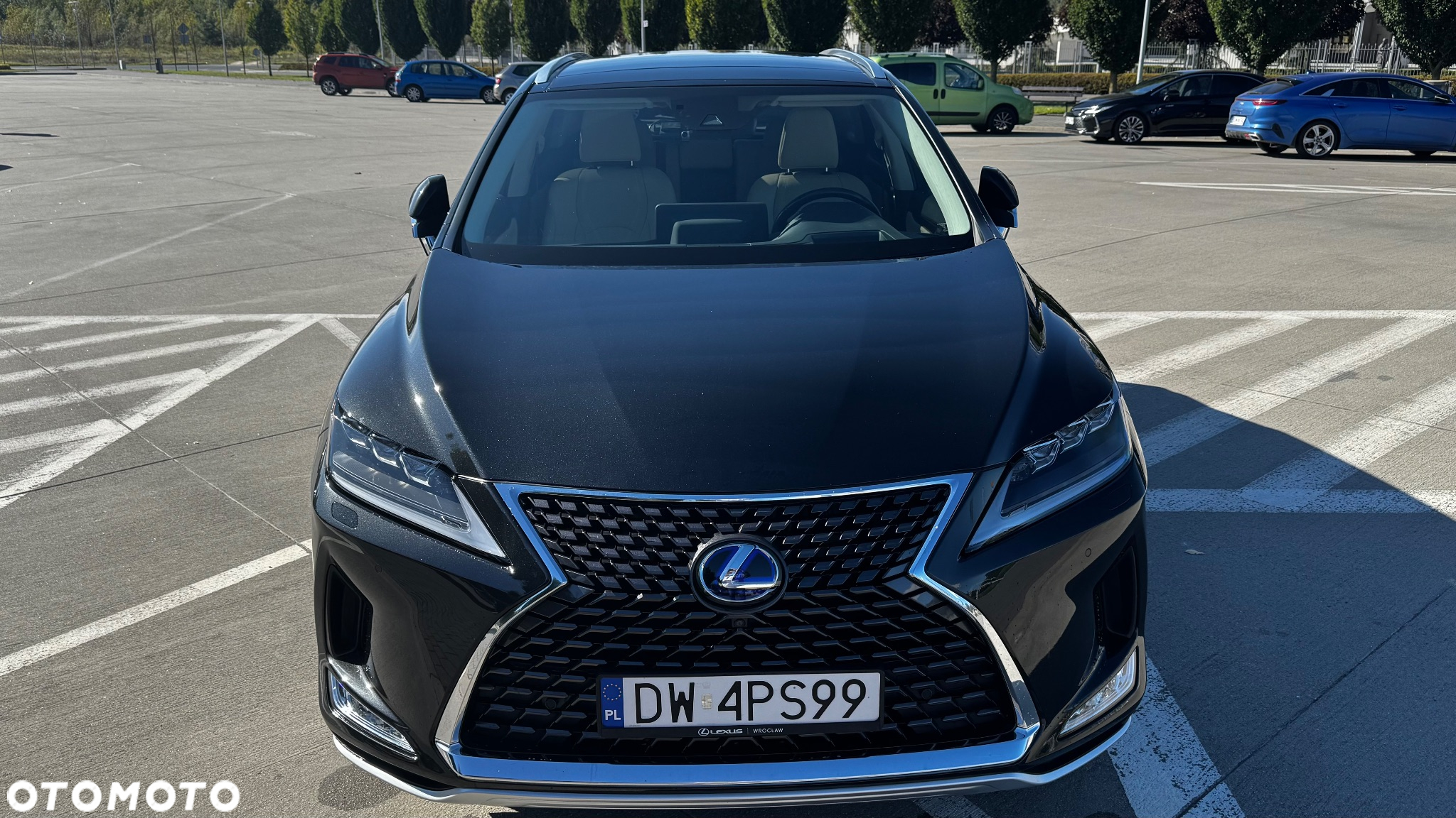 Lexus RX 450h Omotenashi - 4