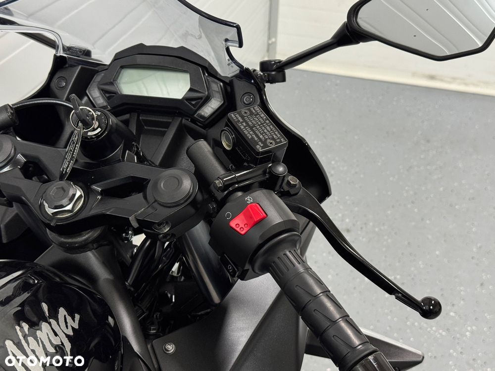 Kawasaki Ninja - 14