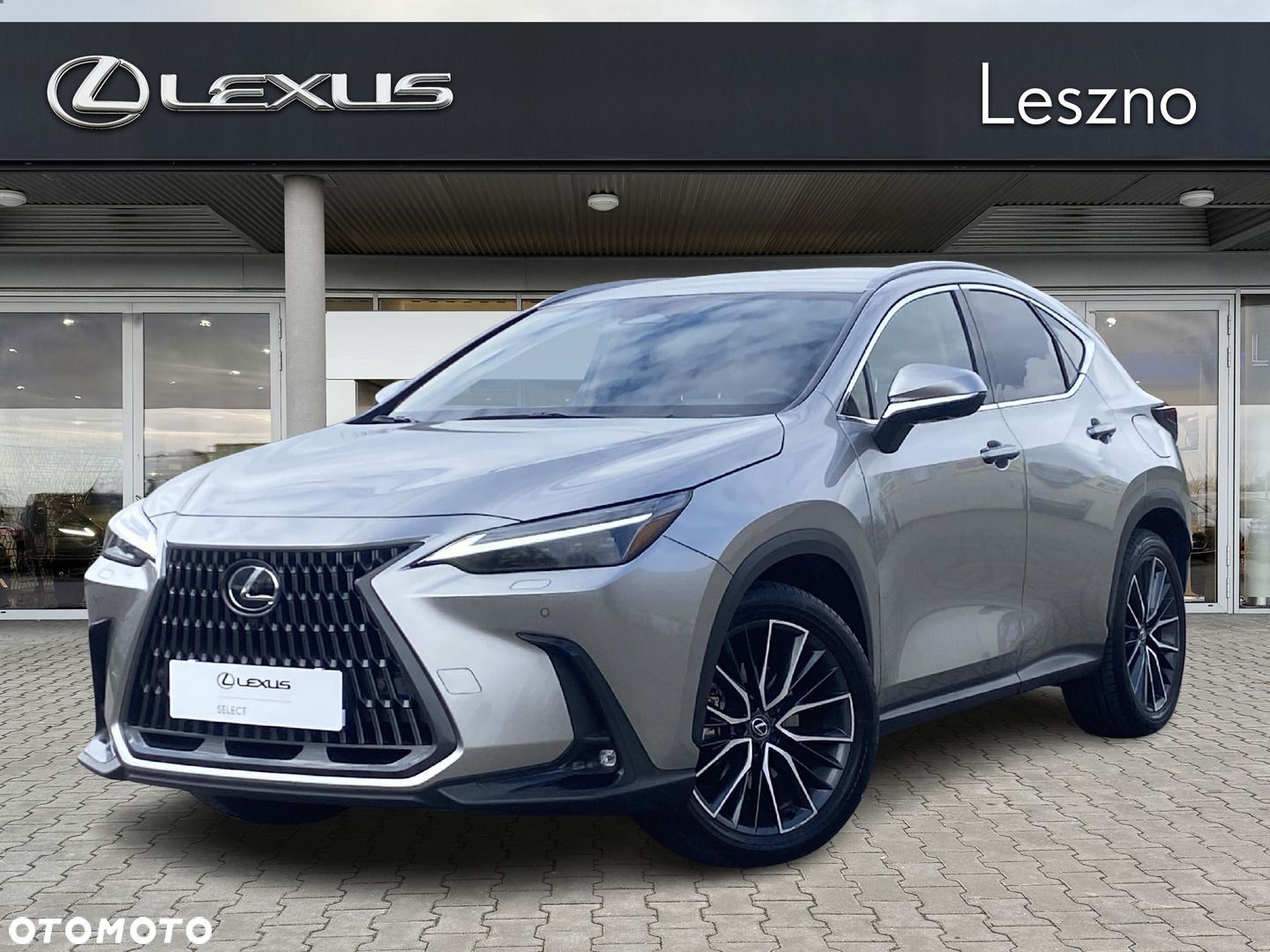 Lexus NX - 1