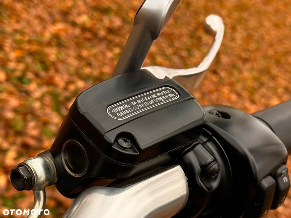 Harley-Davidson V-Rod Muscle - 16