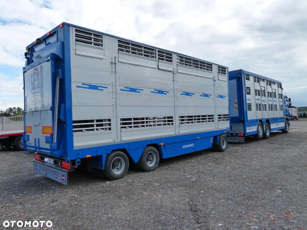 Scania R420 + PRZYCZEPA PEZZAIOLI / ZESTAW DO ŻYWCA, ZWIERZĄT, BYDŁA, TRZODY - 5
