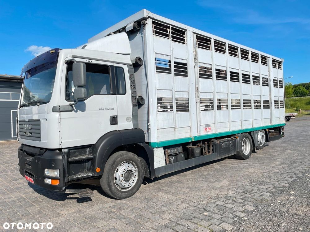 MAN TGA 26.360 Żywca Bydła - 1