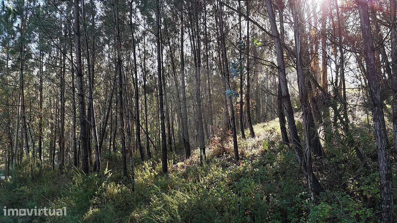 Terreno  para venda - Grande imagem: 3/4