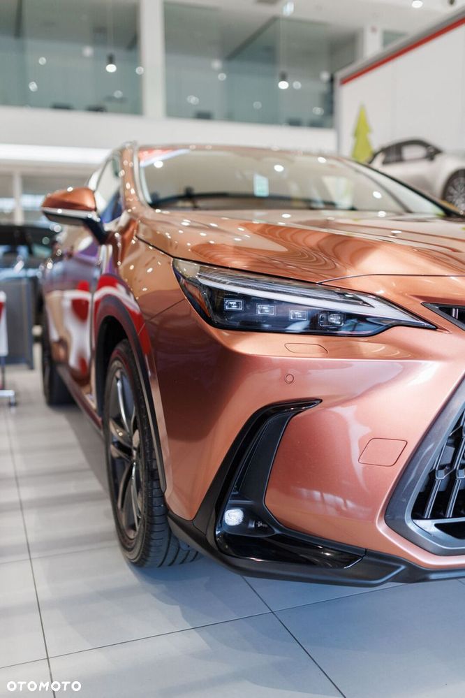 Lexus NX - 10