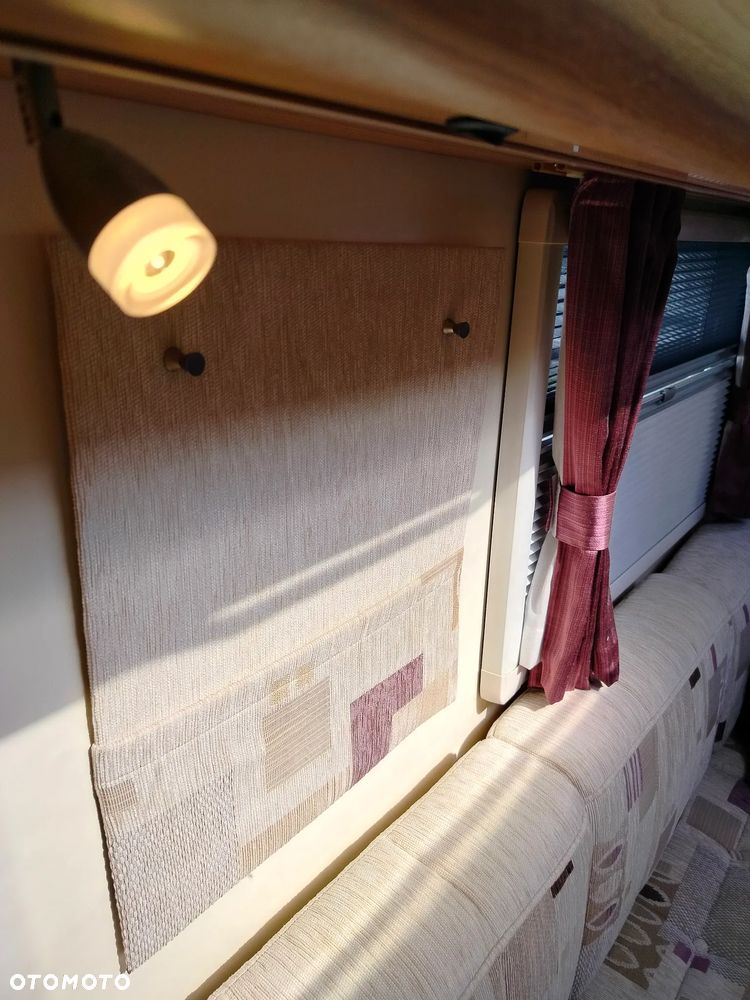 Bailey Unicorn Valencia - 23