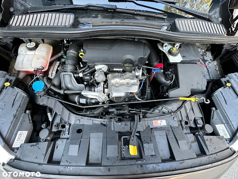 Ford C-MAX 1.0 EcoBoost Titanium ASS - 34