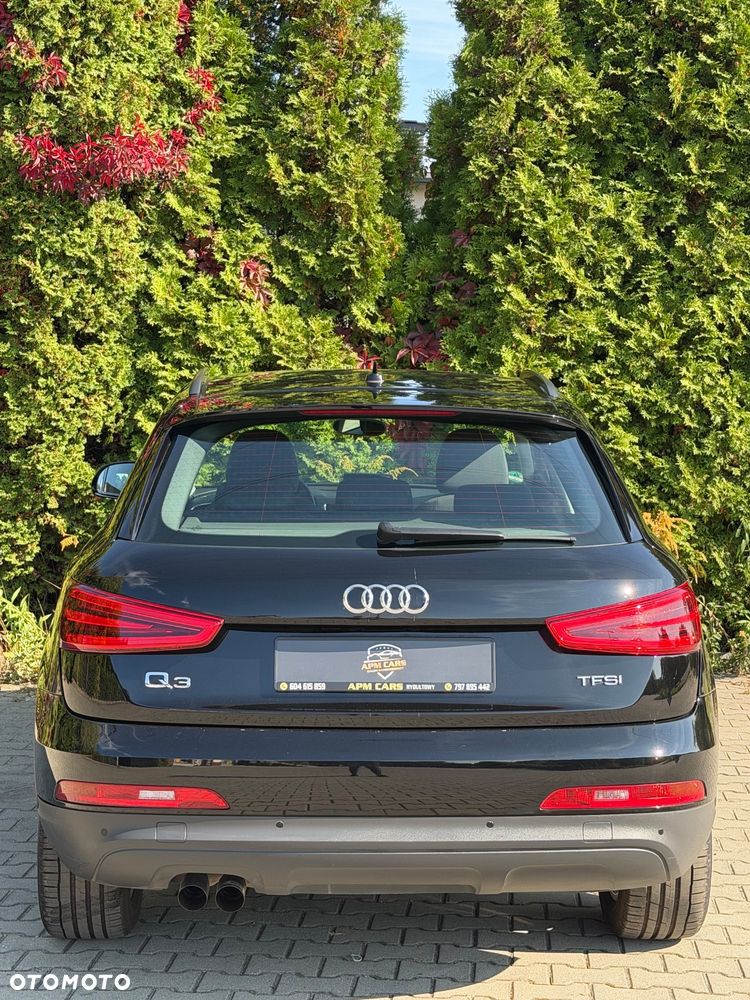 Audi Q3 - 17