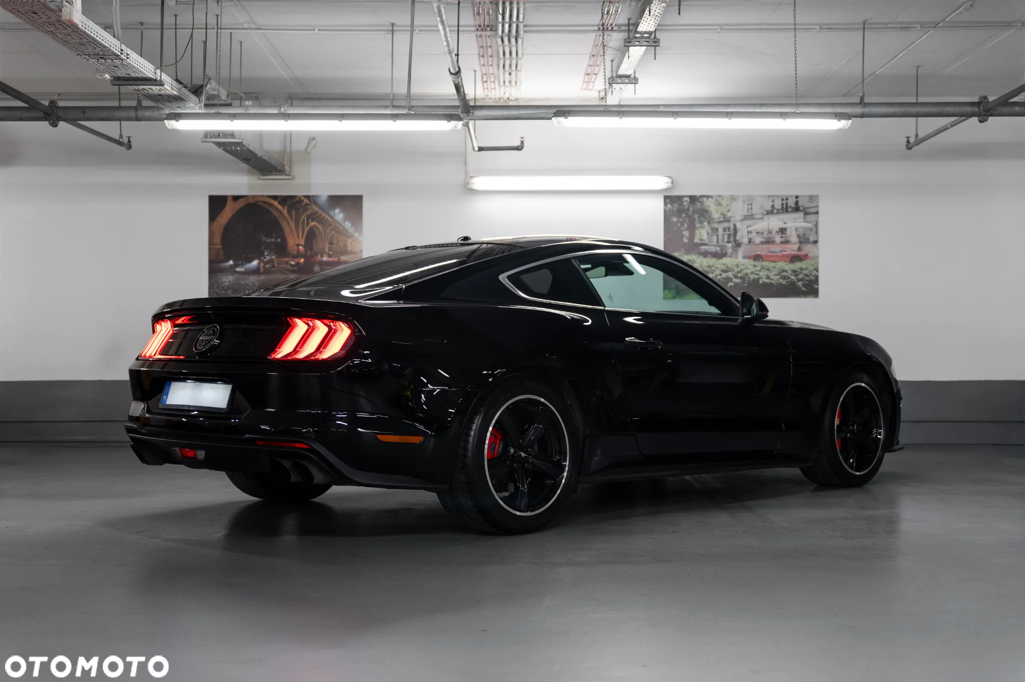 Ford Mustang 5.0 V8 Bullitt - 5