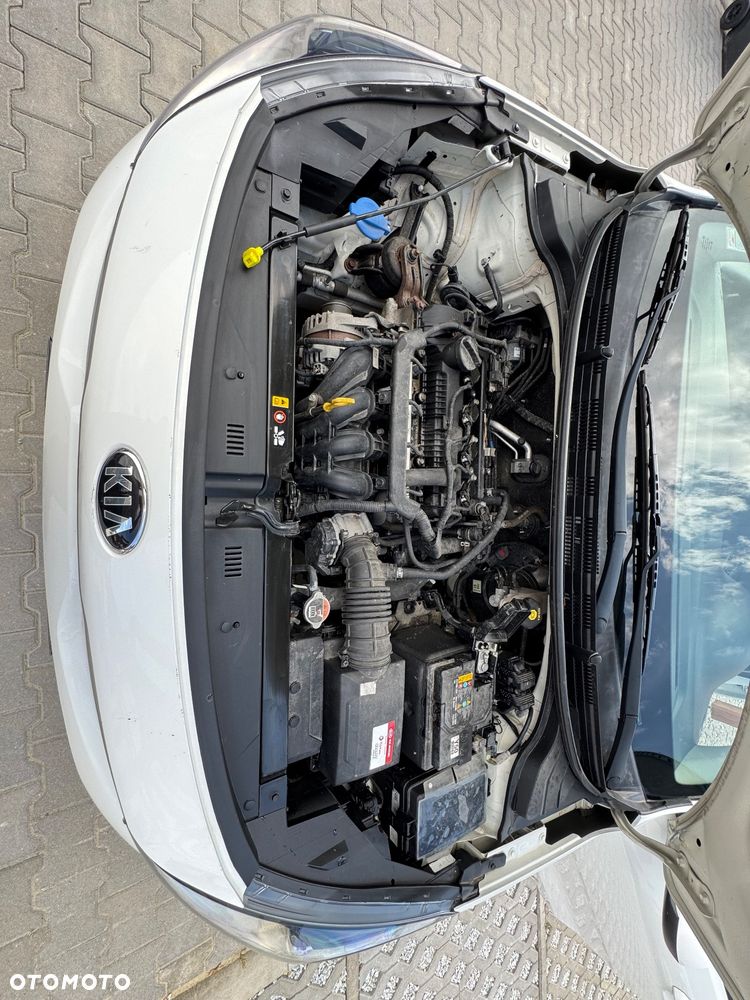 Kia Rio - 34