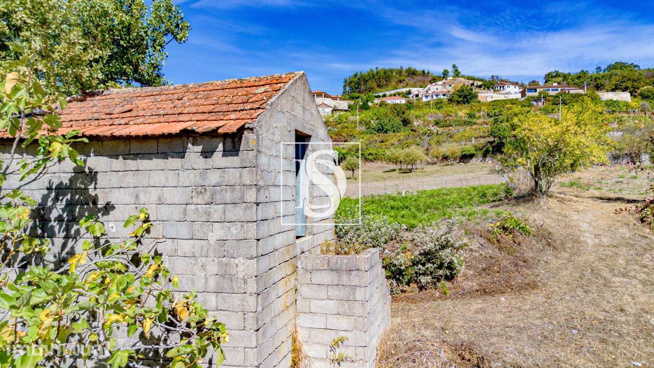 Terreno  Venda em Frende,Baião - Grande imagem: 5/37