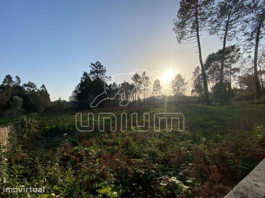Terreno Vila Fria - Grande imagem: 3/8