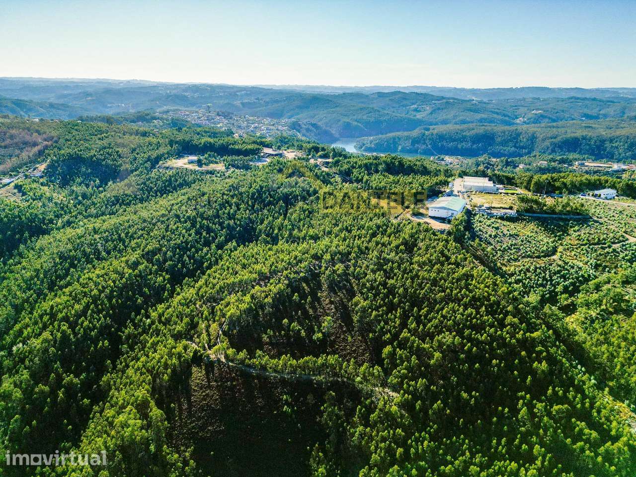 Terreno Rústico de 19.501m2 na Lomba em Gondomar - Grande imagem: 5/17