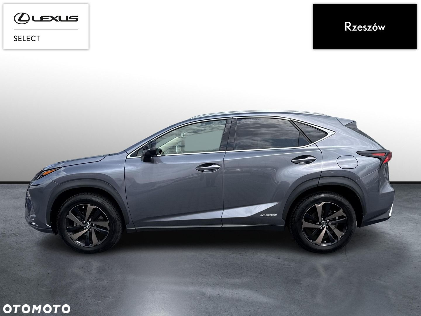 Lexus NX - 2