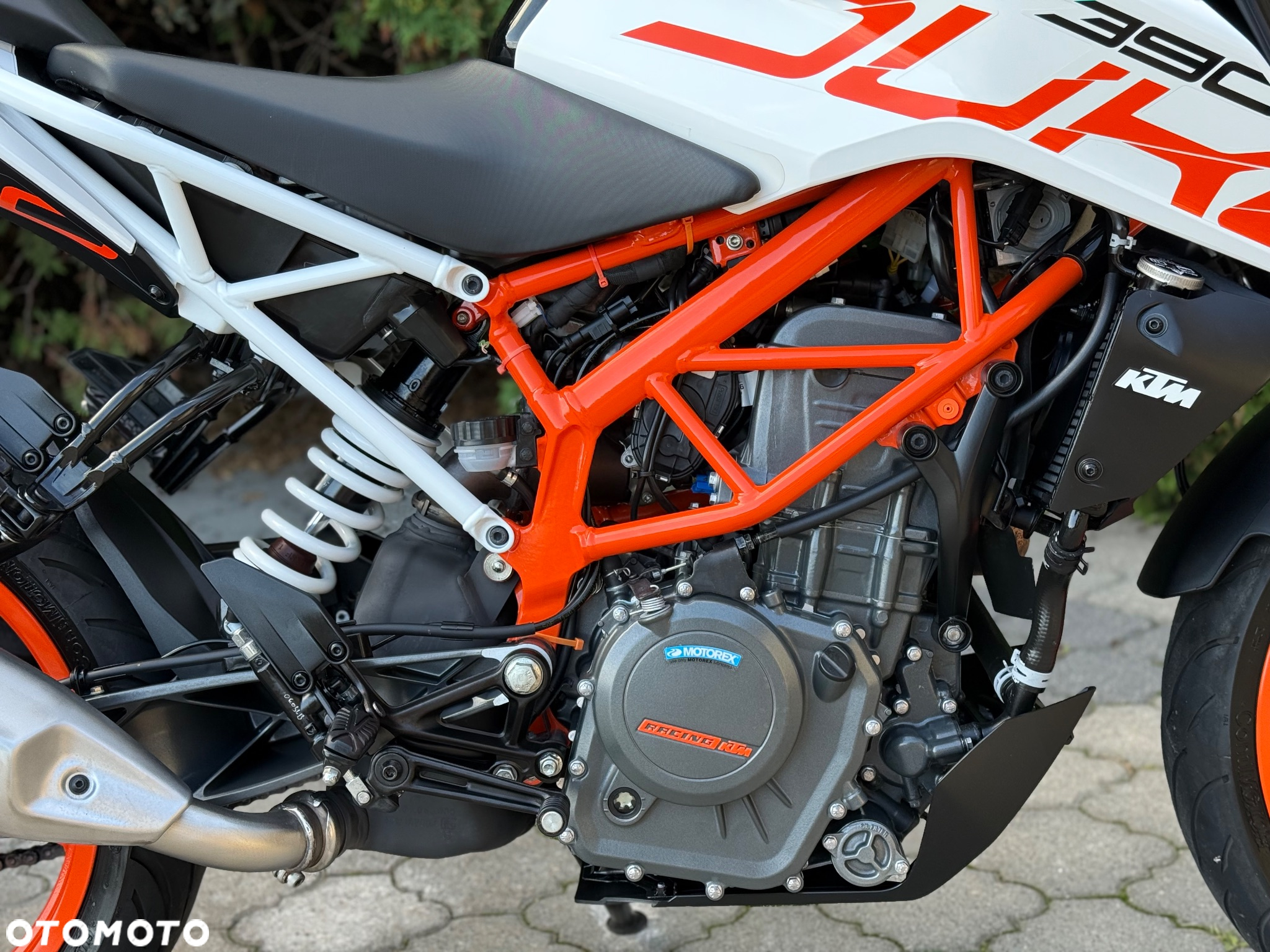KTM Duke - 14