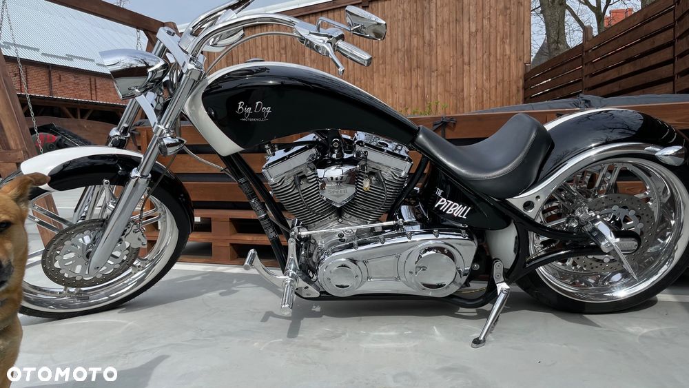 Harley-Davidson Inny - 3