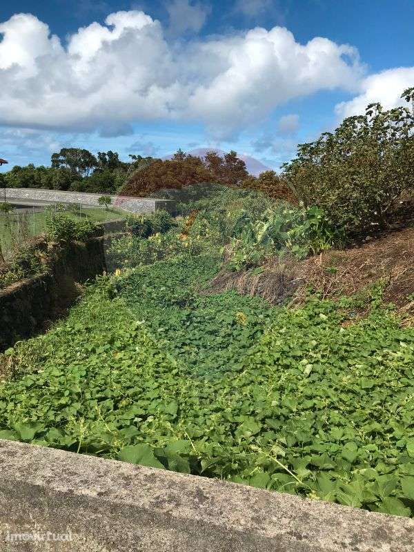 Terreno  para venda - Grande imagem: 4/5
