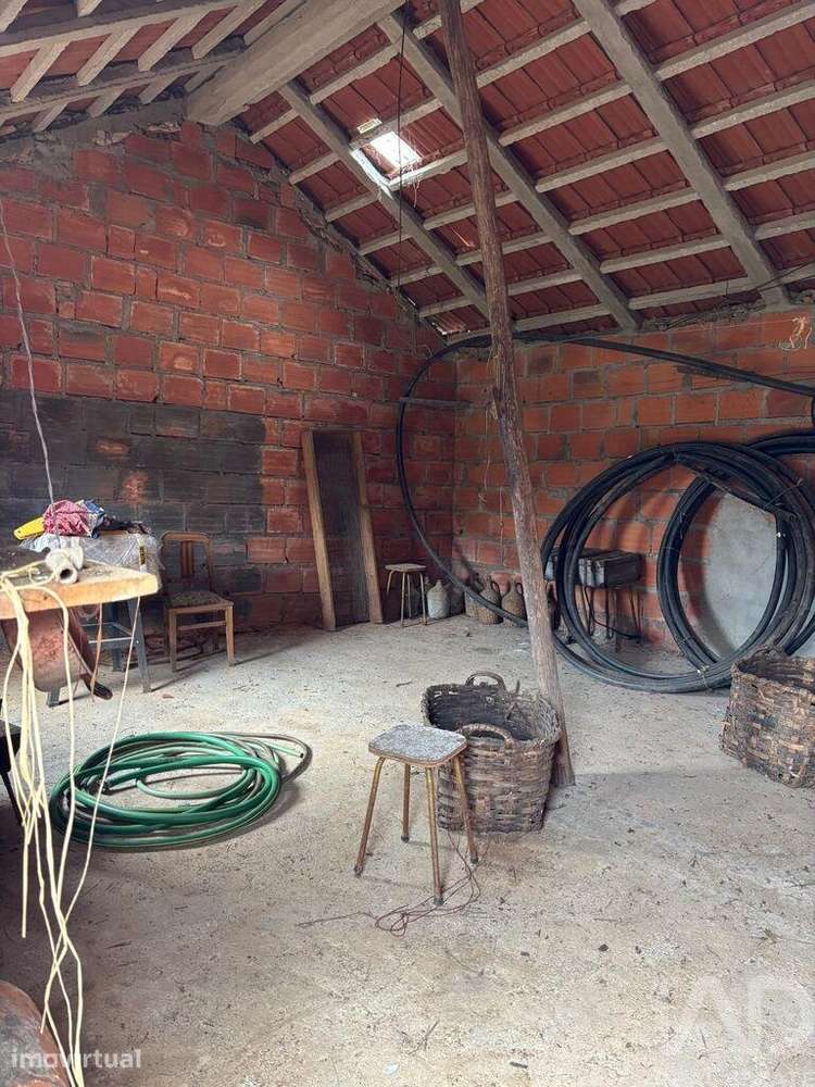 Quinta agricola em Sarzedas de 6840 m2 - Grande imagem: 3/18