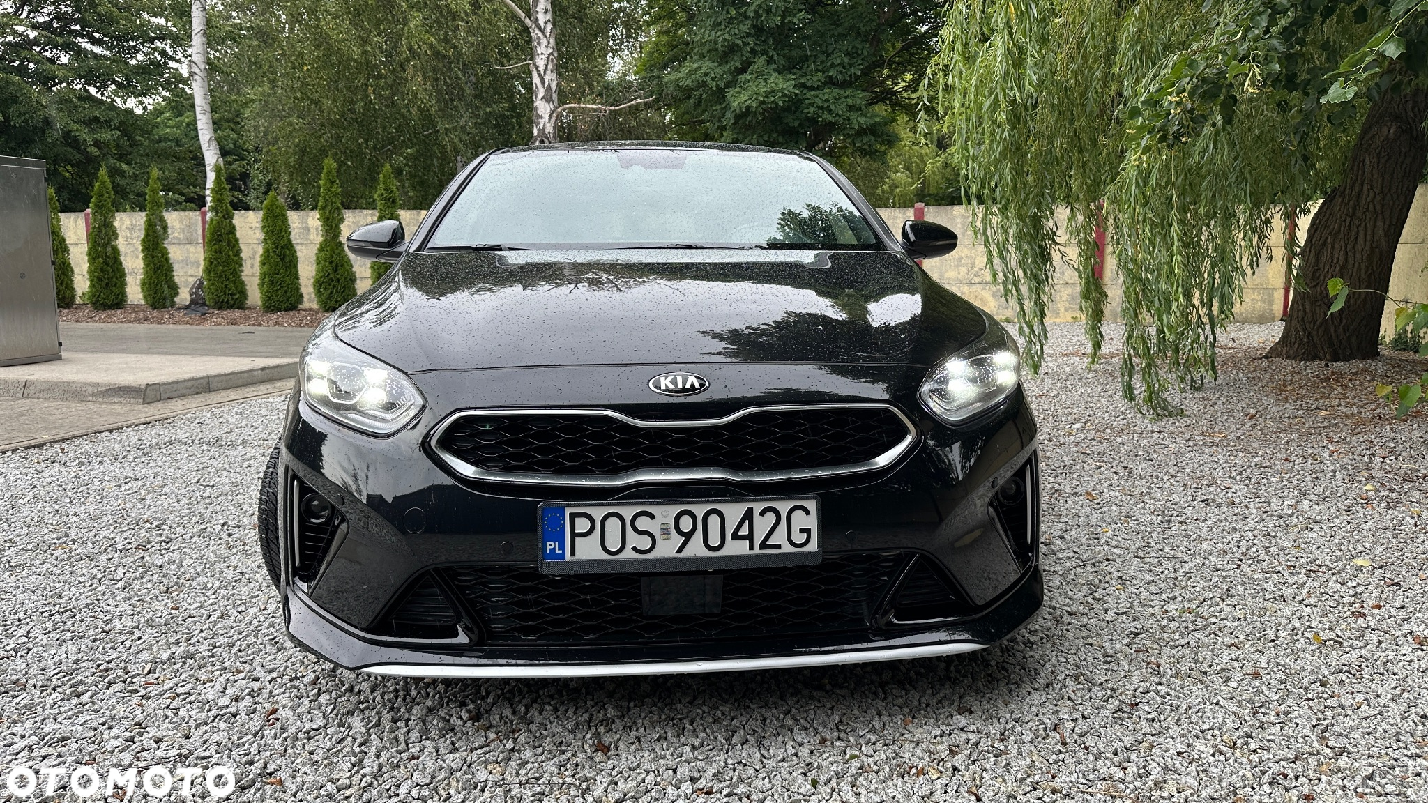 Kia ProCeed 1.4 T-GDI DCT7 OPF GT LINE - 12