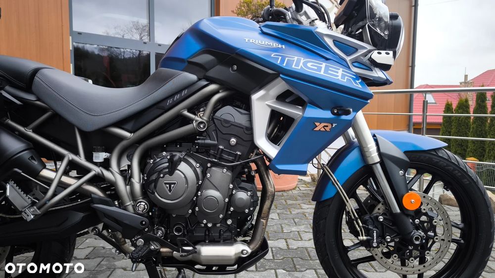 Triumph Tiger - 13