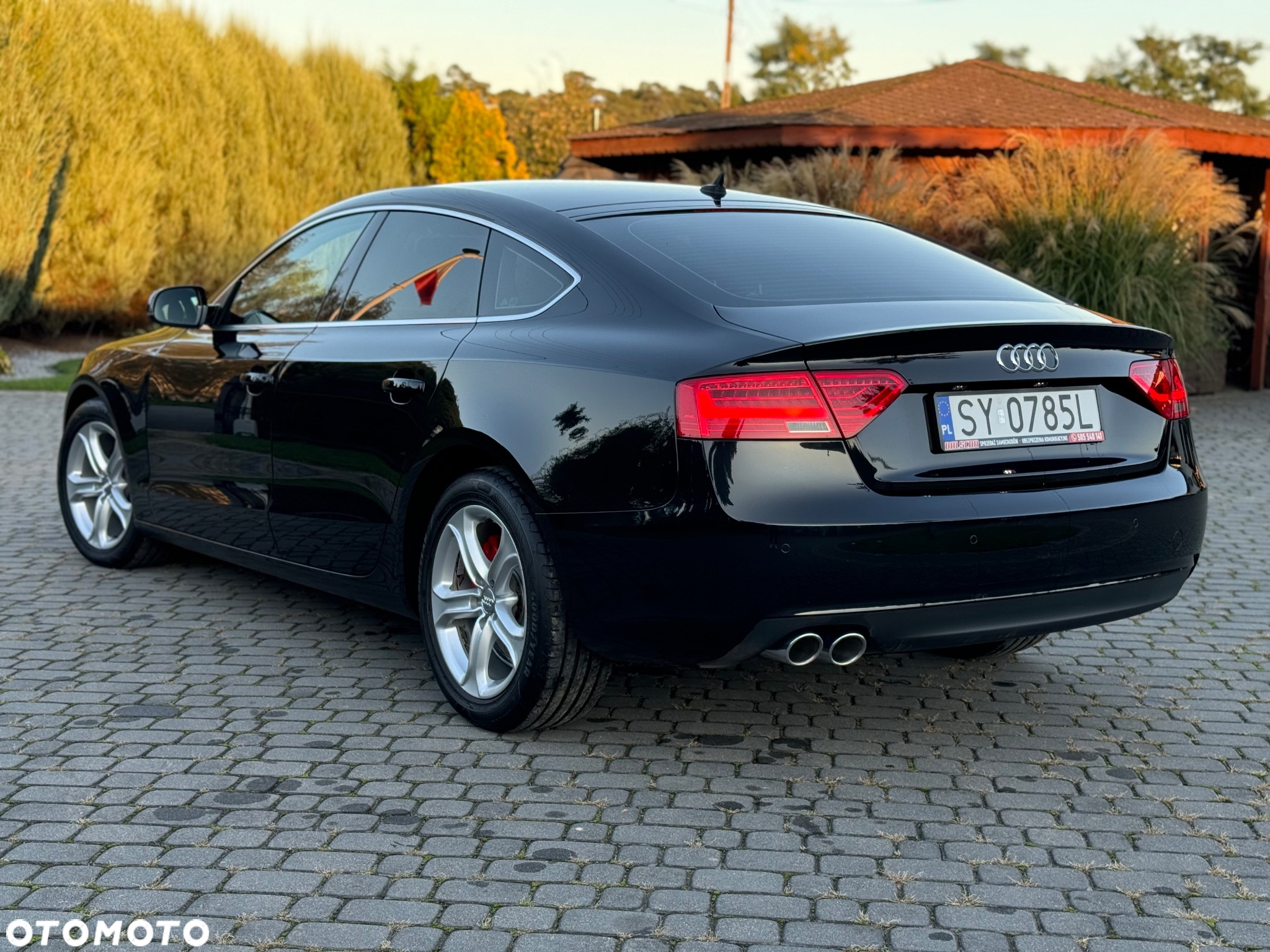 Audi A5 2.0 TDI Multitronic - 11