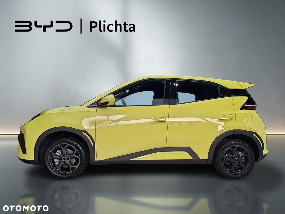 BYD Dolphin Surf - 2