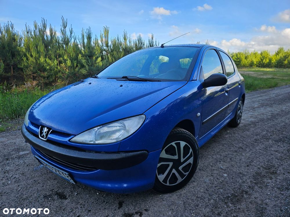 Peugeot 206 - 9