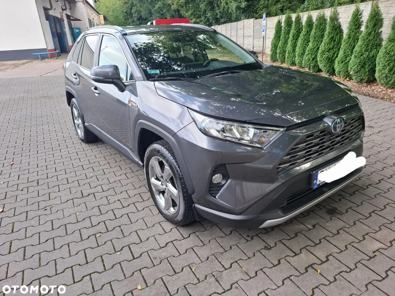 Toyota RAV4 2.5 Hybrid Comfort 4x2 - 6