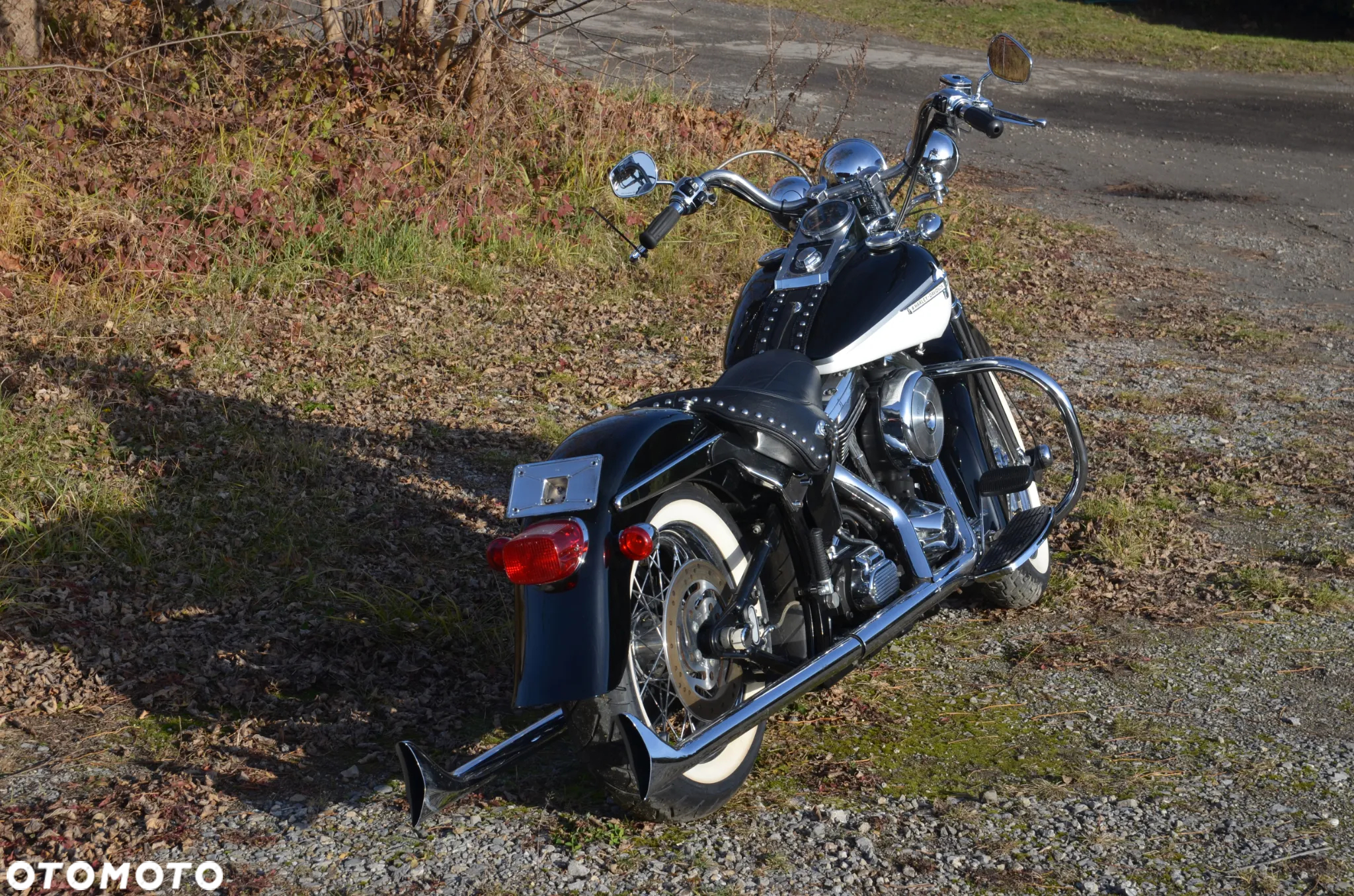 Harley-Davidson Softail Springer Classic - 5