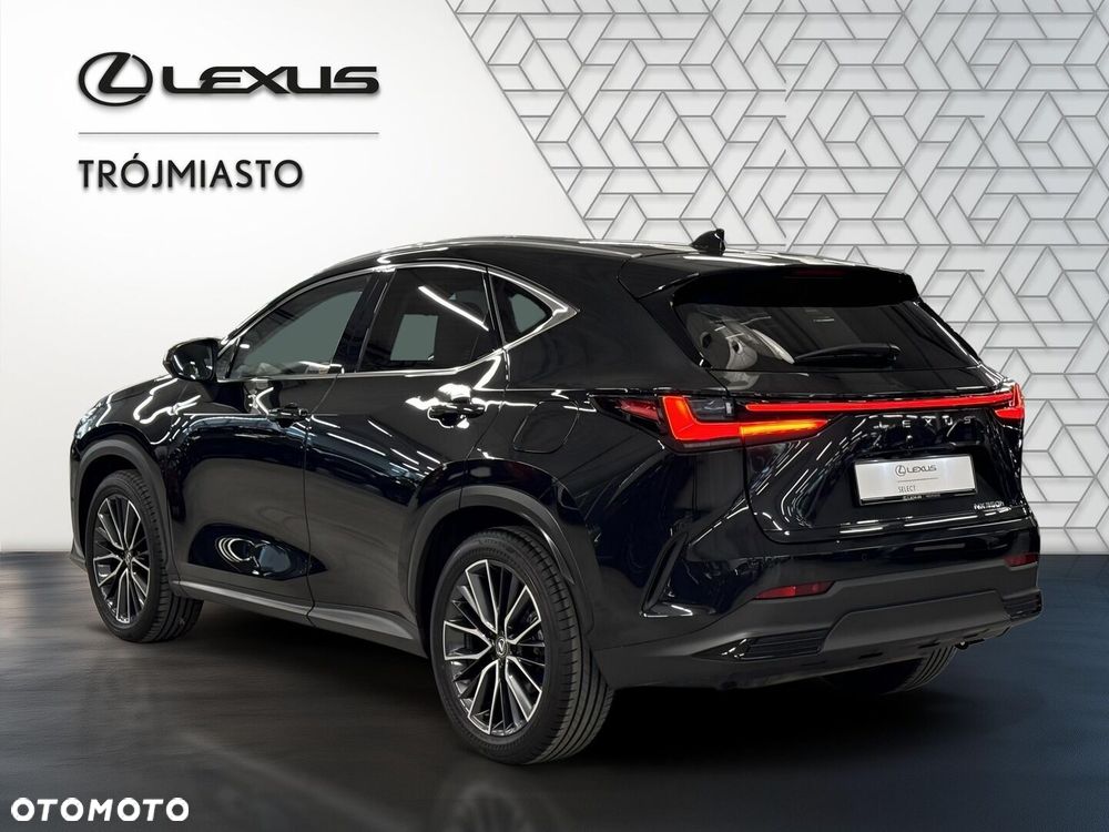 Lexus NX 350h Omotenashi AWD - 4