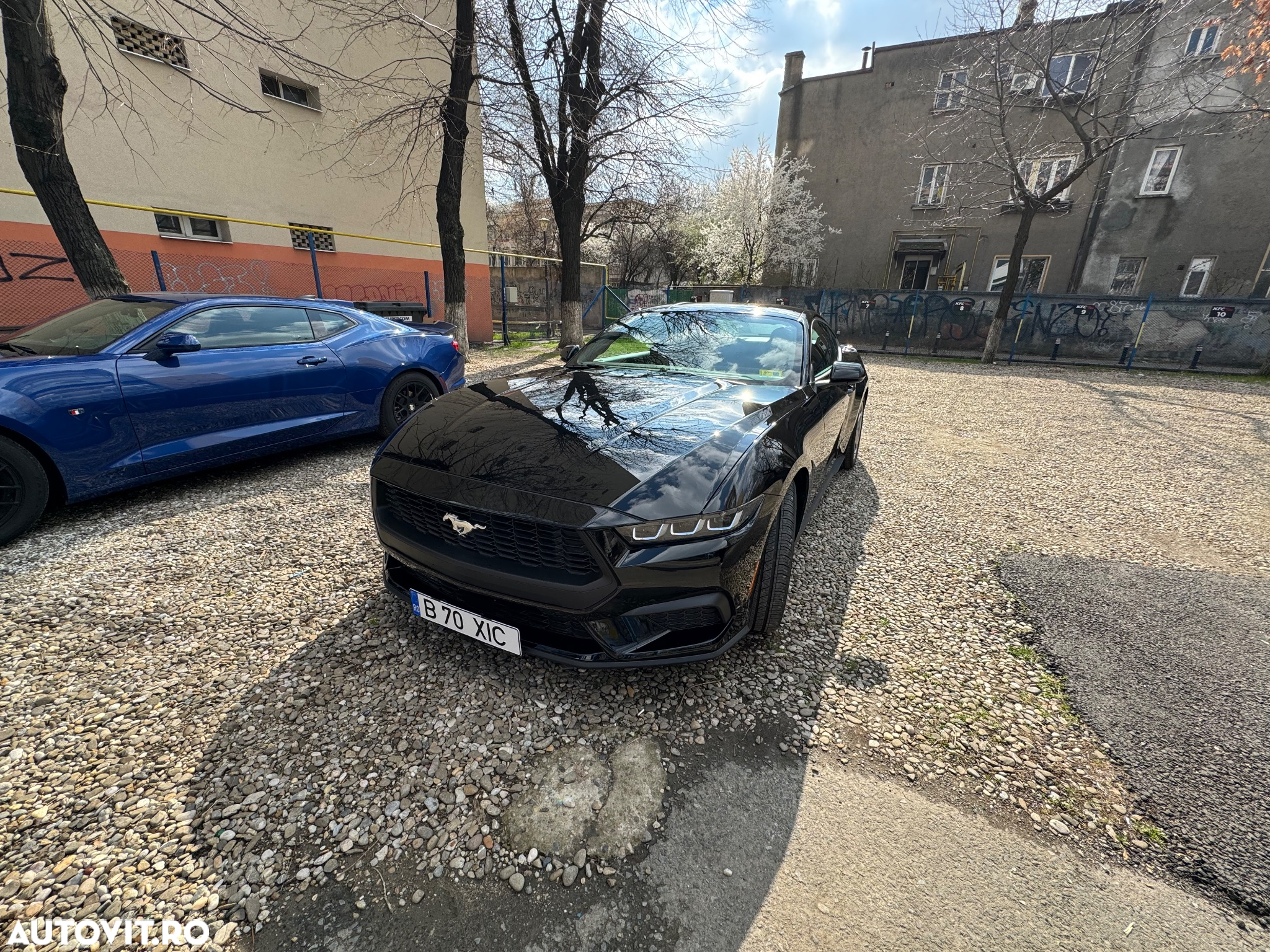 Ford Mustang 2.3 Eco Boost Aut. - 6