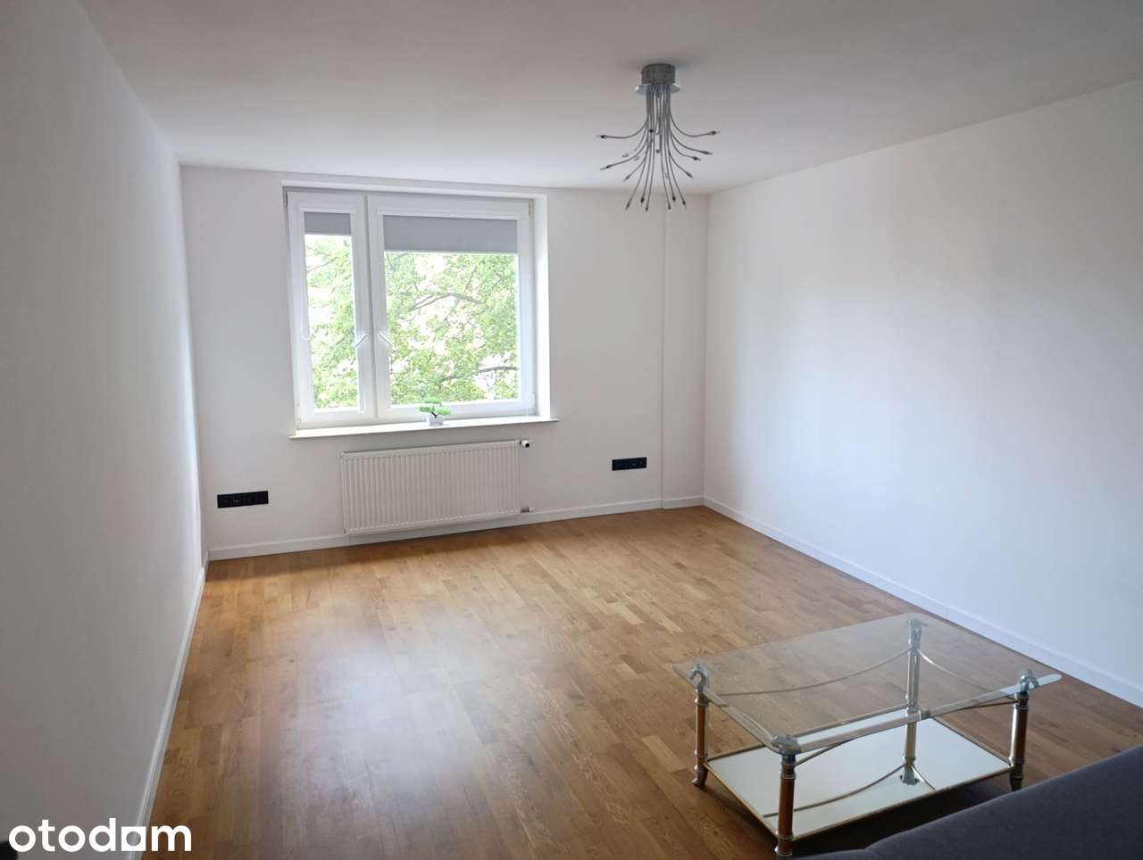 Mieszkanie w centrum po generalnym remoncie! Oddzielna kuchnia
