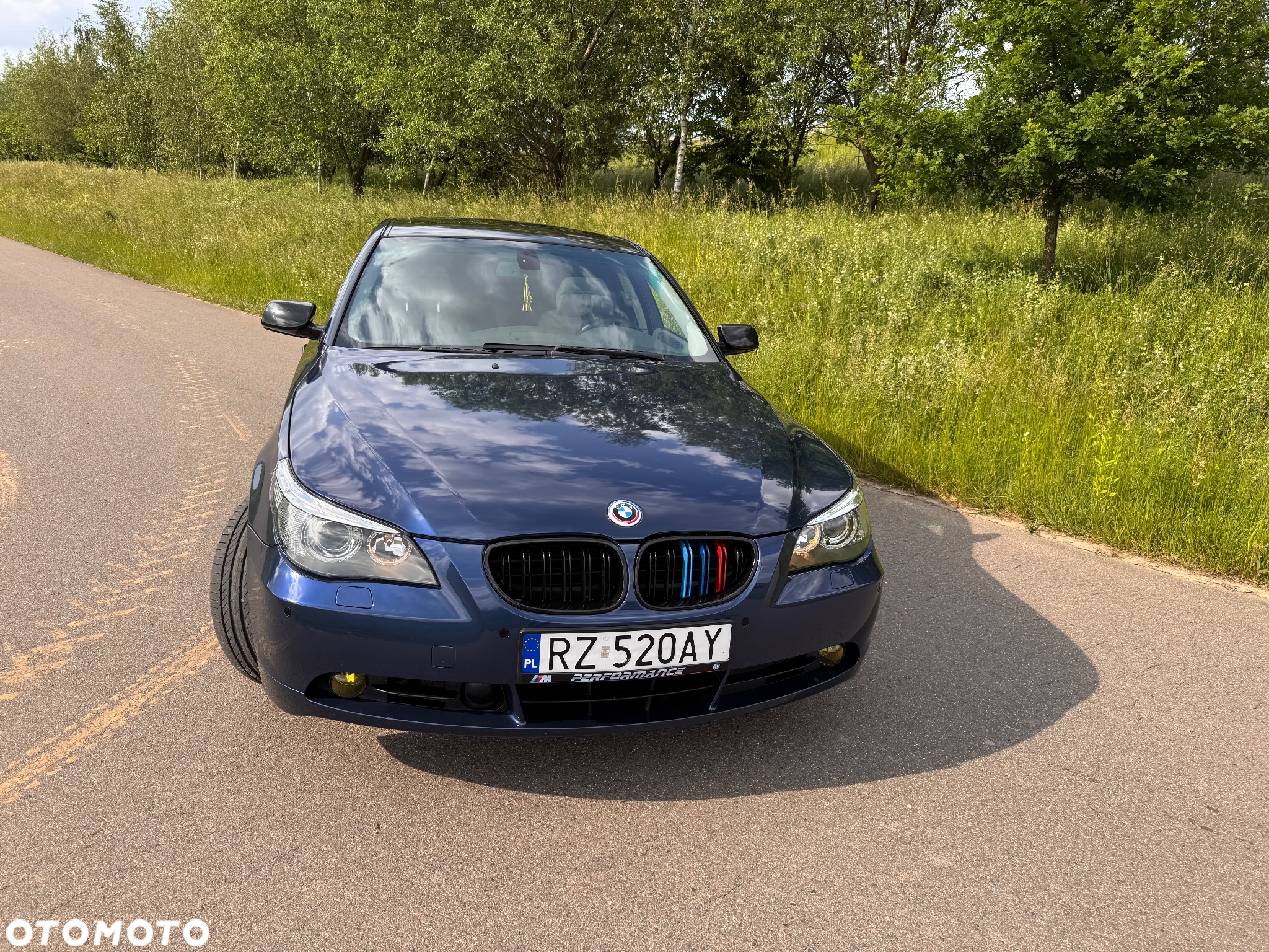 BMW Seria 5 545i - 5