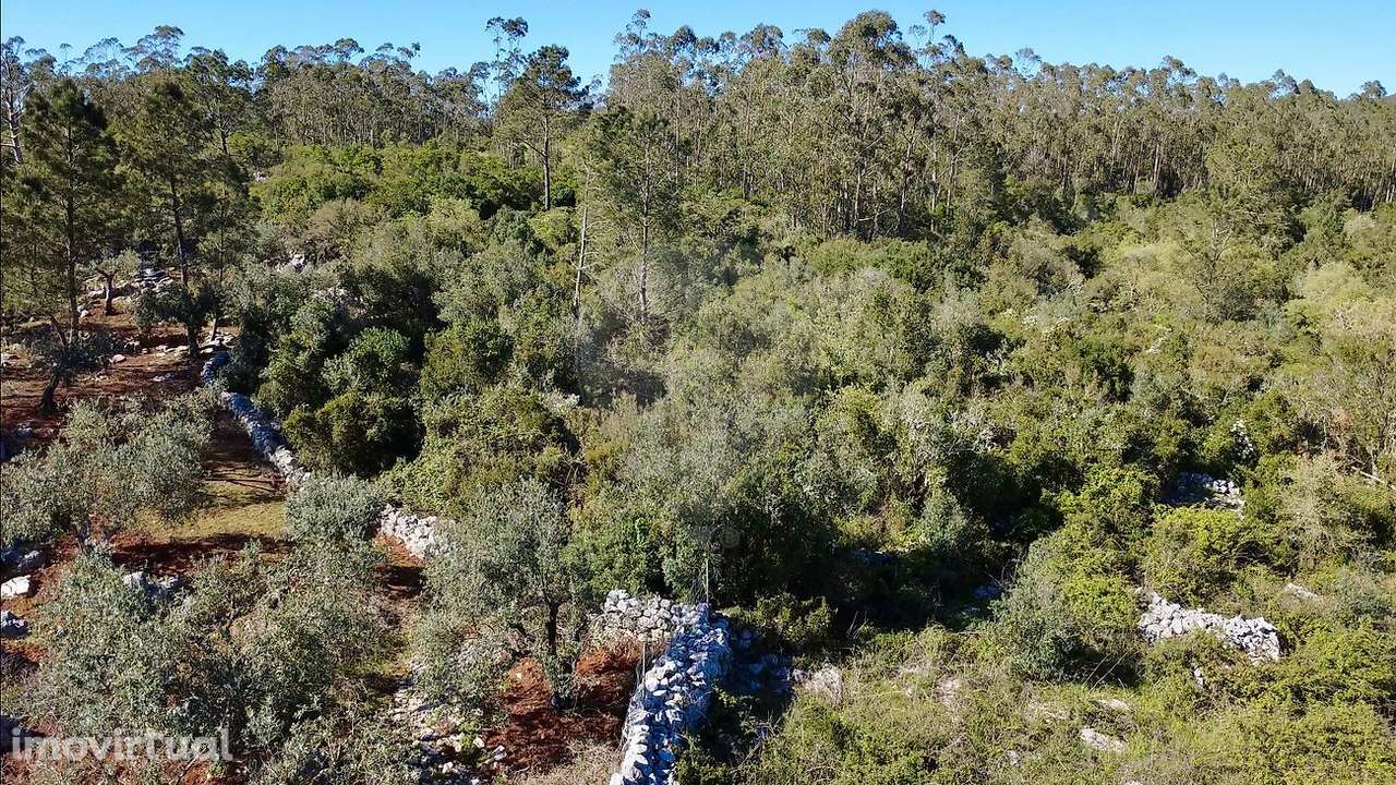 Terreno  para venda - Grande imagem: 2/6