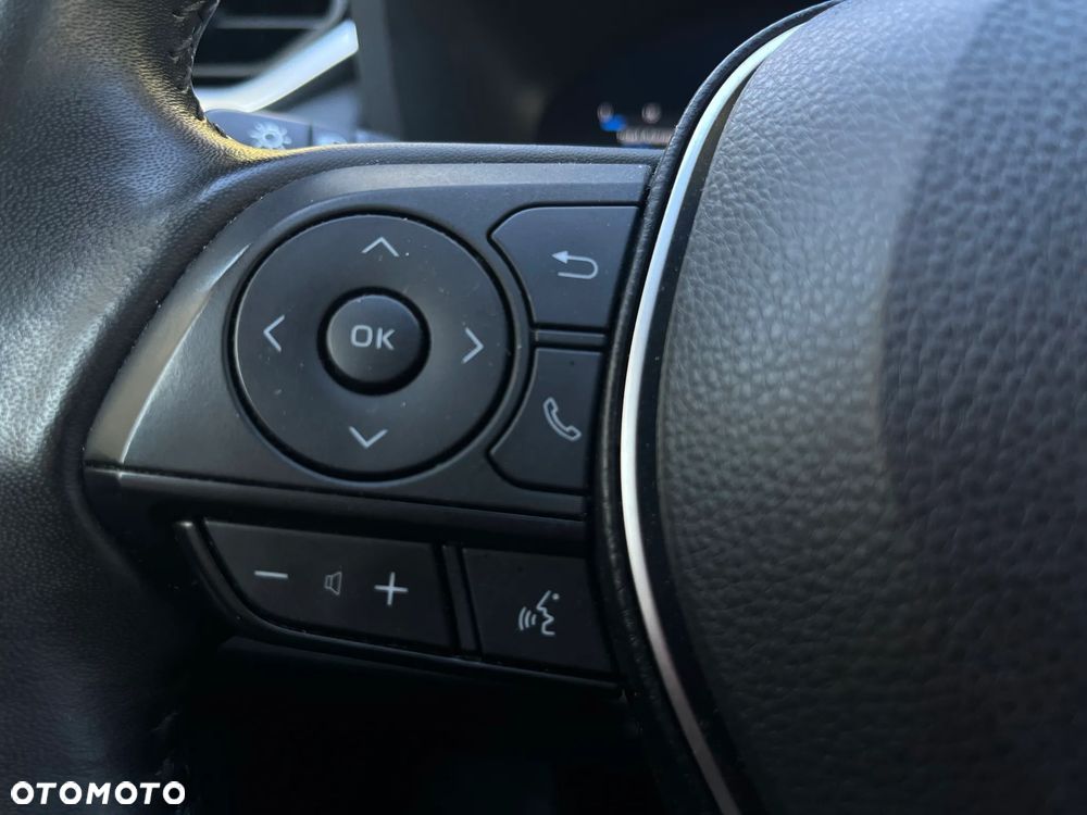 Toyota RAV4 2.5 Hybrid Comfort 4x2 - 24