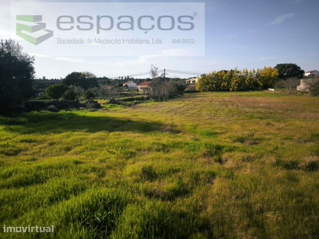 Quinta rural no centro da aldeia - Mata - Grande imagem: 5/10