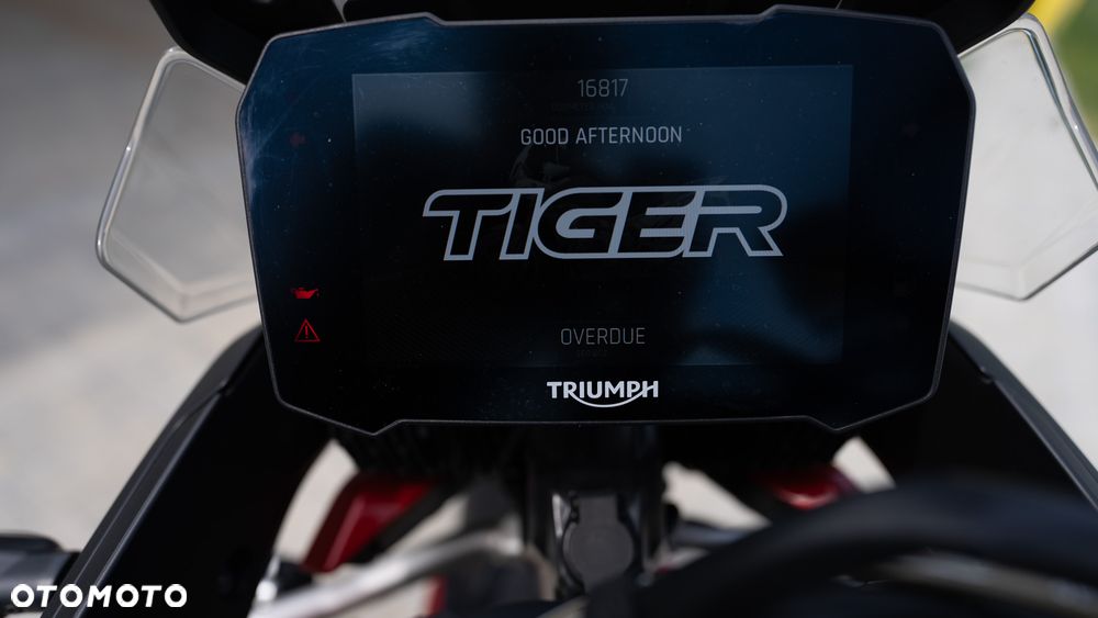 Triumph Tiger - 5