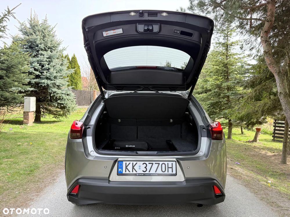 Lexus UX 250h GPF F Sport Design 2WD - 31